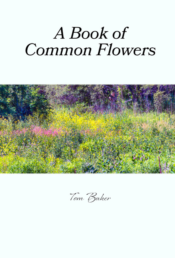 Book of common flowers cover